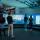 Immersive Rooms for Data Visualisation & Decision-making