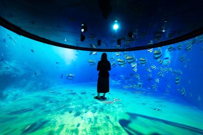 The Science of Shared Immersion: Why Shared Experiences are More Impactful