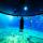 The Science of Shared Immersion: Why Shared Experiences are More Impactful