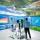 How to Successfully Launch an Immersive Classroom in Higher Education