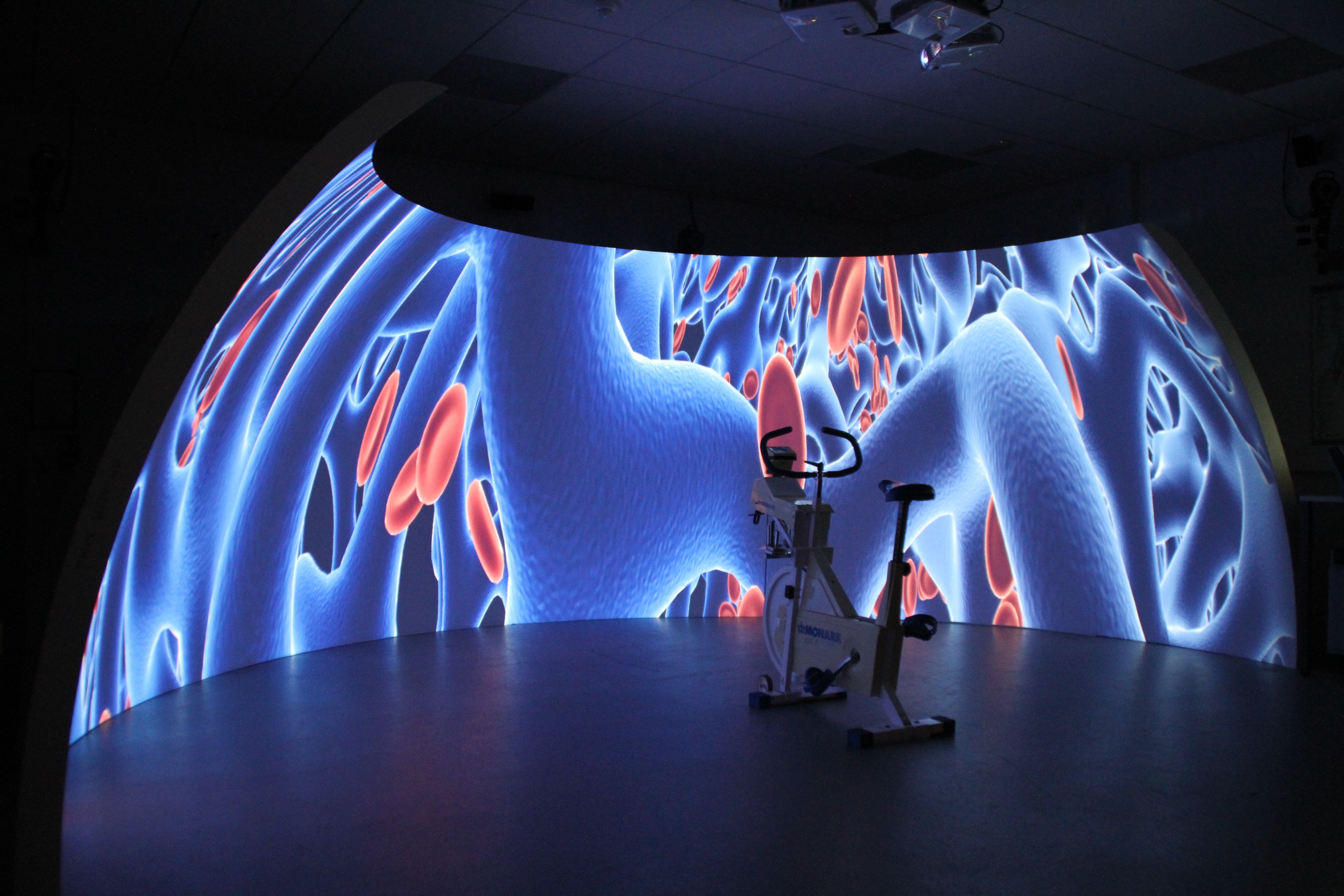 Exercise bike in front of Igloo screen at the University of Brighton