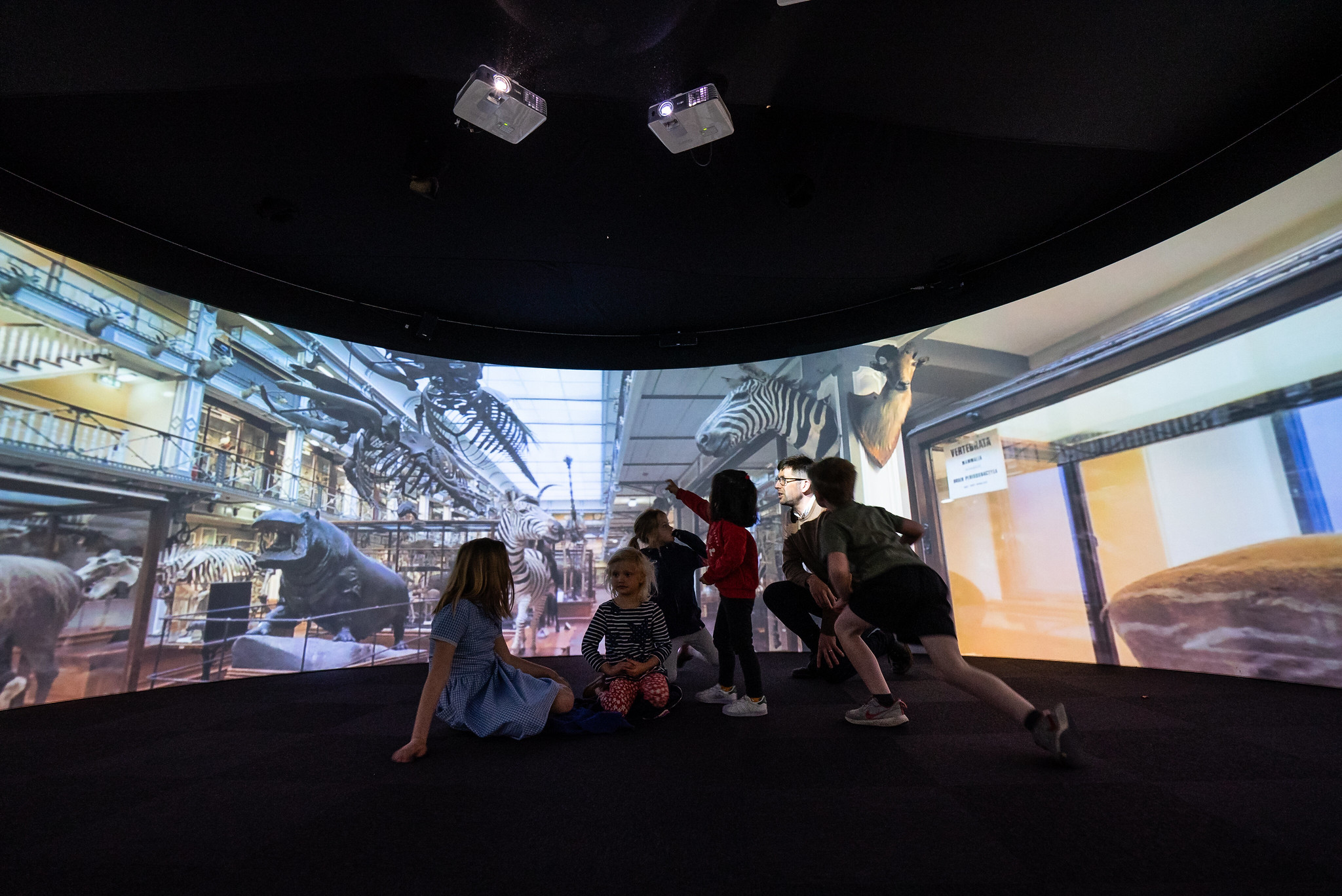 Children seeing zebras on immersive Igloo space.