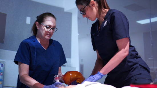 The University of Adelaide using Igloo for simulation