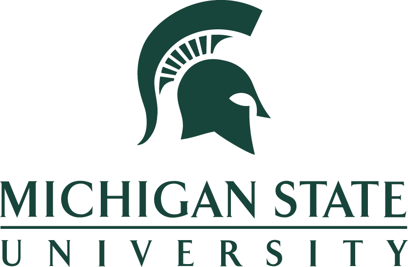 michigan state university