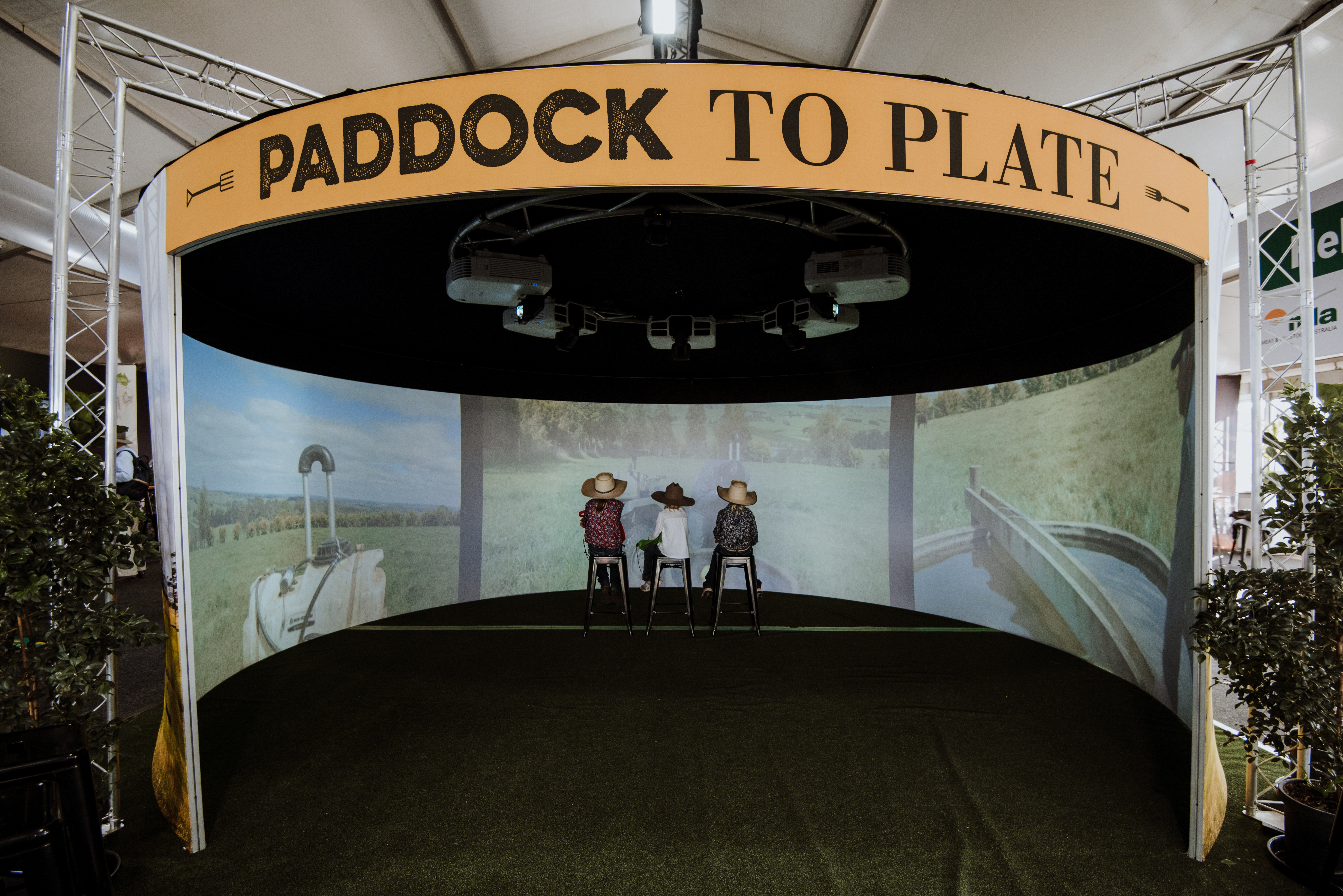 Children looking at farm pictures in Igloo immersive dome space.