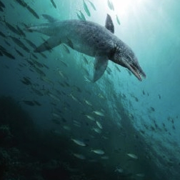 Transporting visitors back to prehistoric times