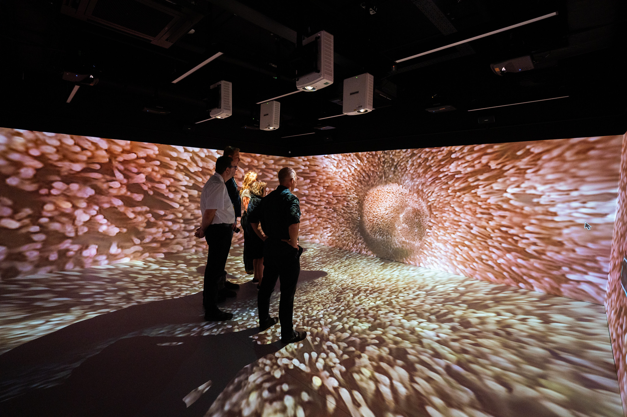 Innovation meets education - creating unique, engaging experiences with immersive technology